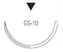 GS10